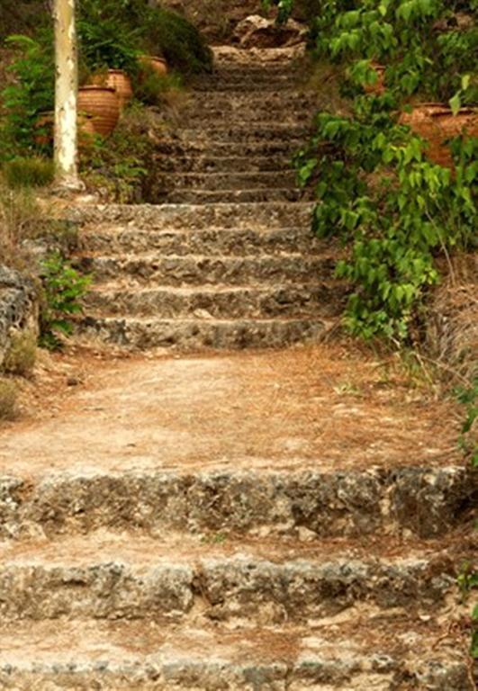 Finca Salto Del Ciervo Hotel Priego  Exterior foto